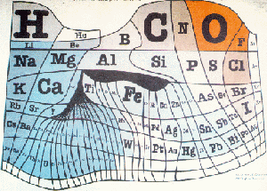 The Periodic Table by Relative Elemental Abundance on the Earth