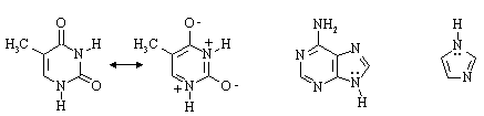 Adenine and Imidazole